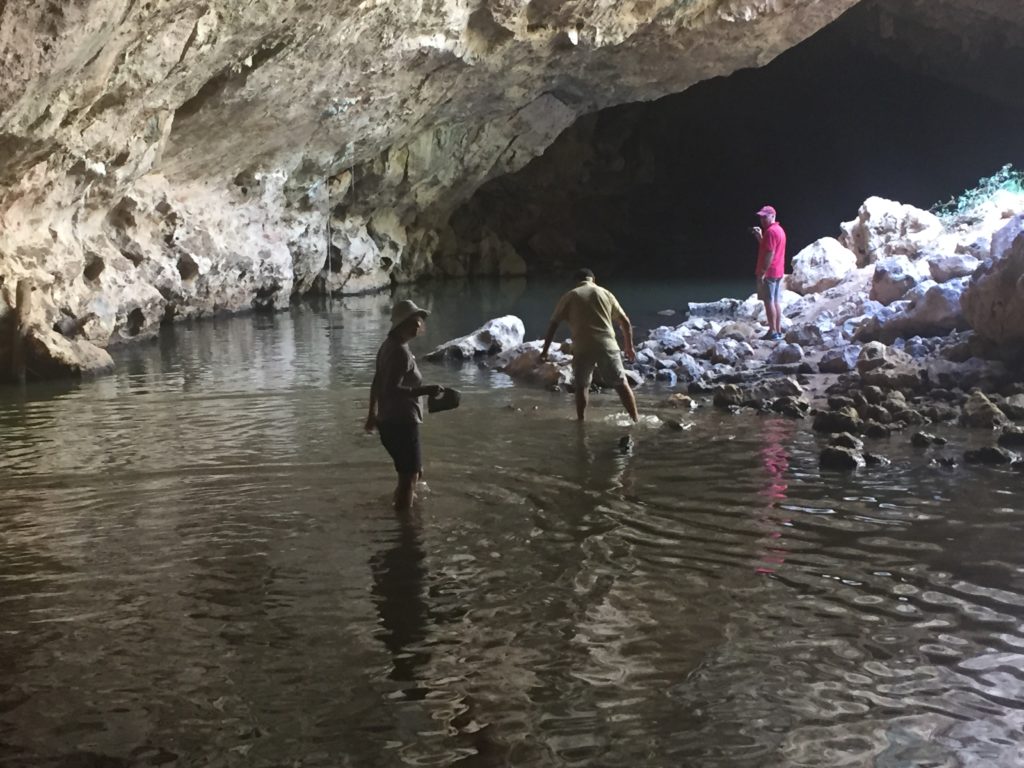 The Kimberley: Visit Geikie Gorge, Windjana Gorge And Tunnel Creek 